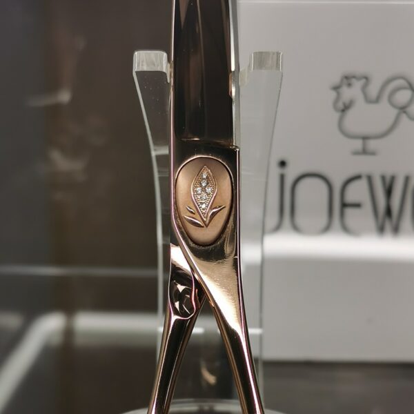 Forbici Professionali Giapponesi Joewell AFLOAT XPG-60B Mikado S.r.l. particolare Screw Cover